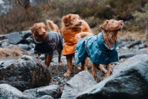 Hurtta giacca per cani