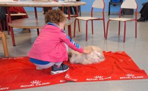 Cat Therapy Royal Canin
