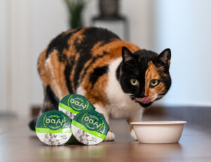 Oasy, 10 nuovi gusti nella linea di alimenti umidi per gatto More Love