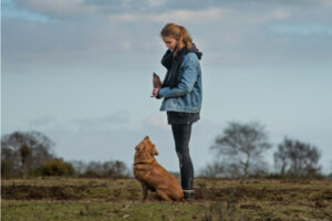 Pet Academy: a ottobre un nuovo corso con patentino per i proprietari di cani