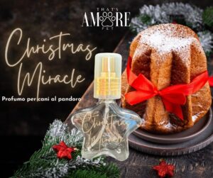 Chrstimas Miracle - That's Amore Pet