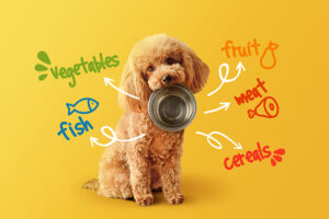 Pet food naturale_Ottobre 2024